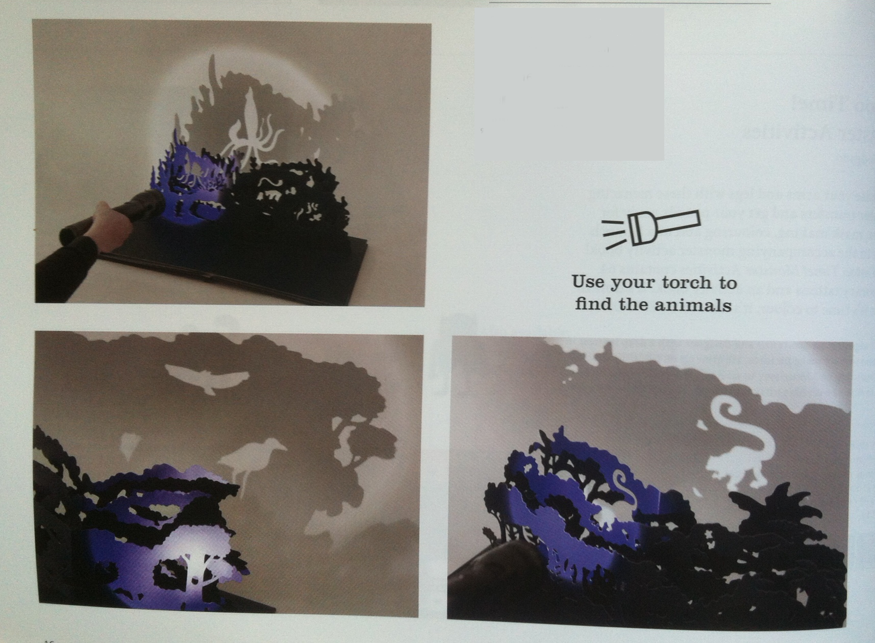 libri popup per bambini | midnight creatures